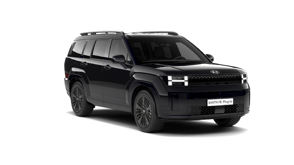 Img 30